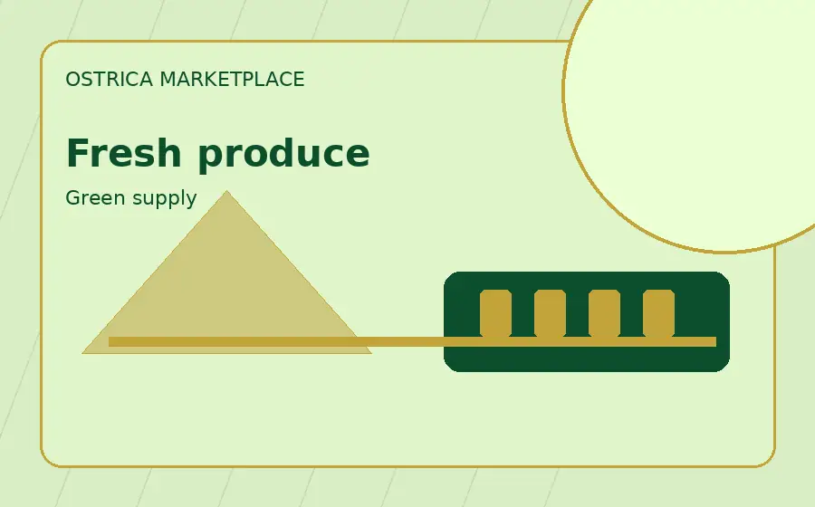 Export Avocado Crates